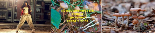 меф Зеленодольск