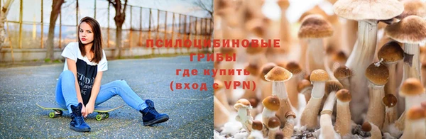 jwh Зеленокумск
