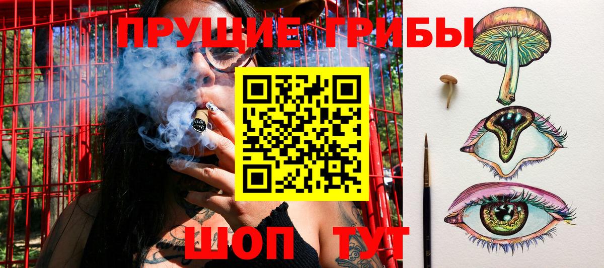 Ноябрьск  Псилоцибиновые грибы ЛСД  Псилоцибиновые грибы мицелий  Вход с VPN 