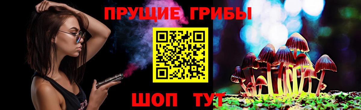 Галлюциногенные грибы Cubensis Ноябрьск