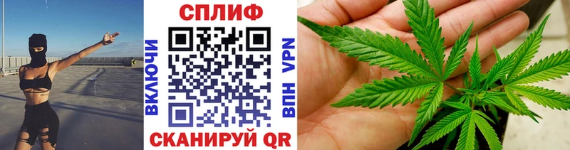 купить наркоту  Ноябрьск  Каннабис сатива 